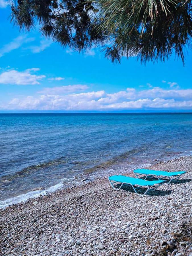 Pine Beach House Skala Kallirakhis Ngoại thất bức ảnh