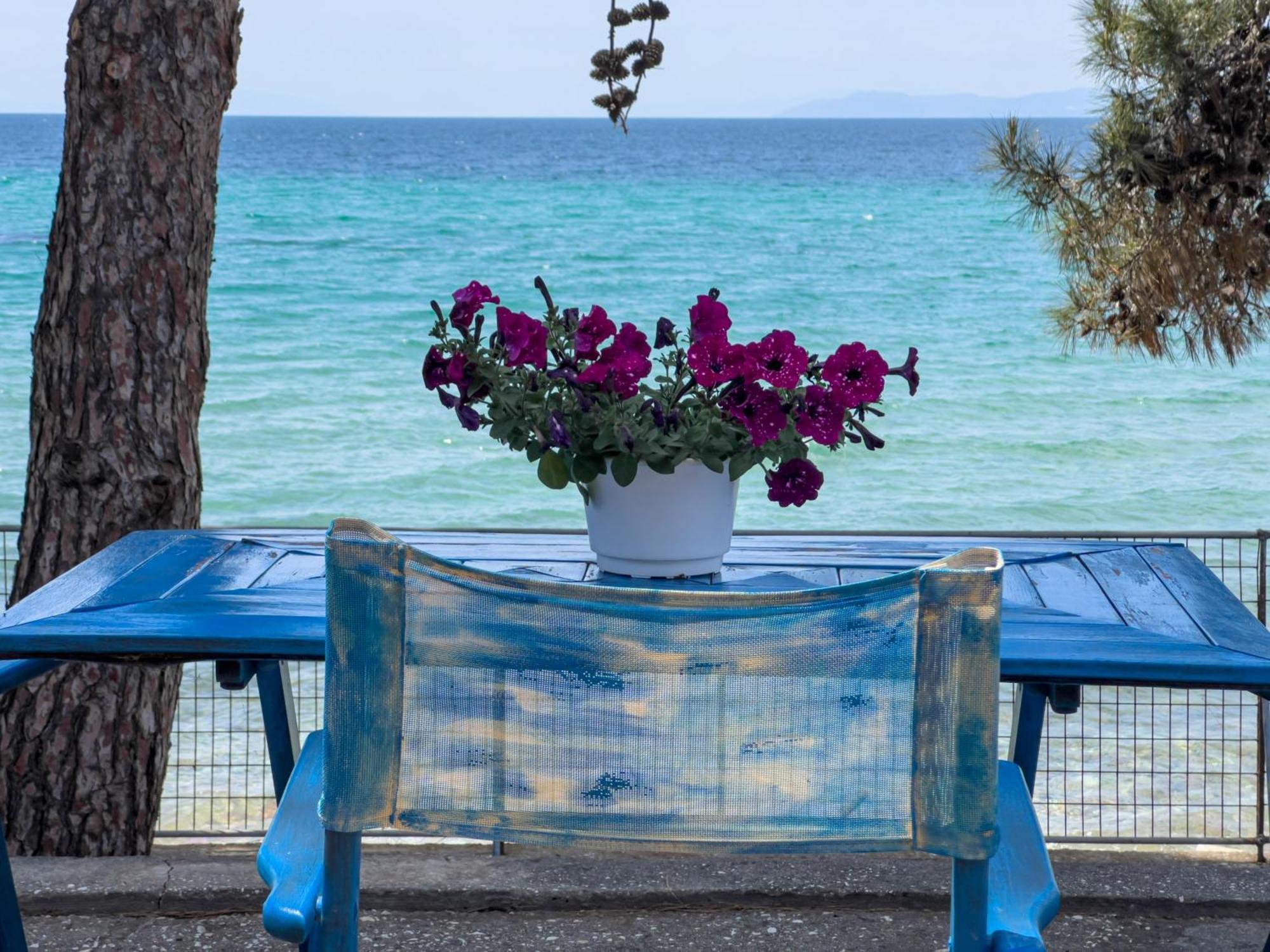 Pine Beach House Skala Kallirakhis Ngoại thất bức ảnh
